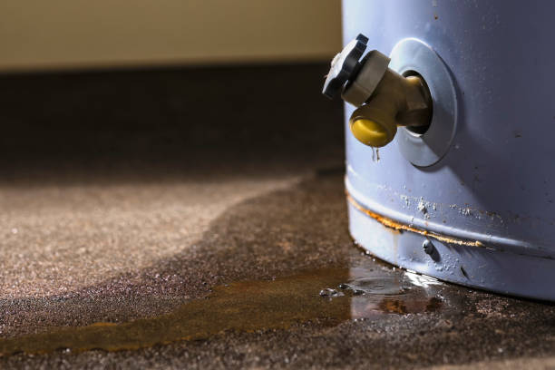 Best Professional water damage repair  in East Liverpool, OH