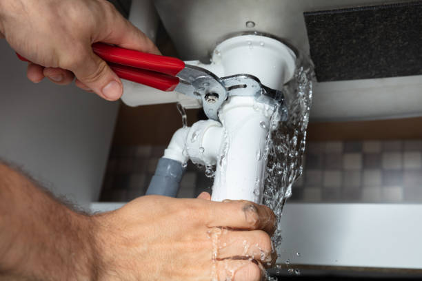 Best Mold removal after water damage  in East Liverpool, OH