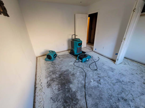 Best Flooded house restoration  in East Liverpool, OH