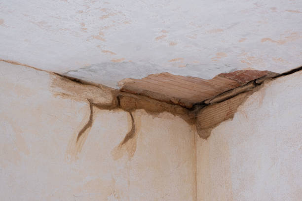 Best Sewage cleanup and water damage restoration  in East Liverpool, OH