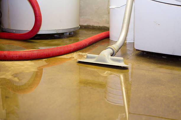 Best Water damage restoration cost  in East Liverpool, OH