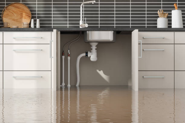 Best Flooded house restoration  in East Liverpool, OH