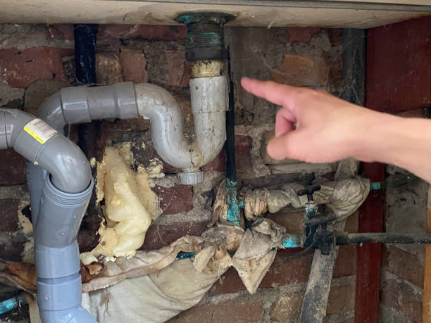 Best Basement water damage restoration  in East Liverpool, OH